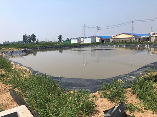 魚蝦養殖土工膜 魚蝦養殖土工膜